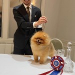 Artistrys Dreams Come True In Paradise House