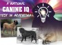 F National Canine IQ F National Canine IQ