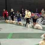 PXL_20240324_151846257