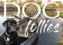 F Dog Follies