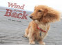 WindAtYourBack WindAtYourBack