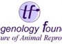 TF_logo