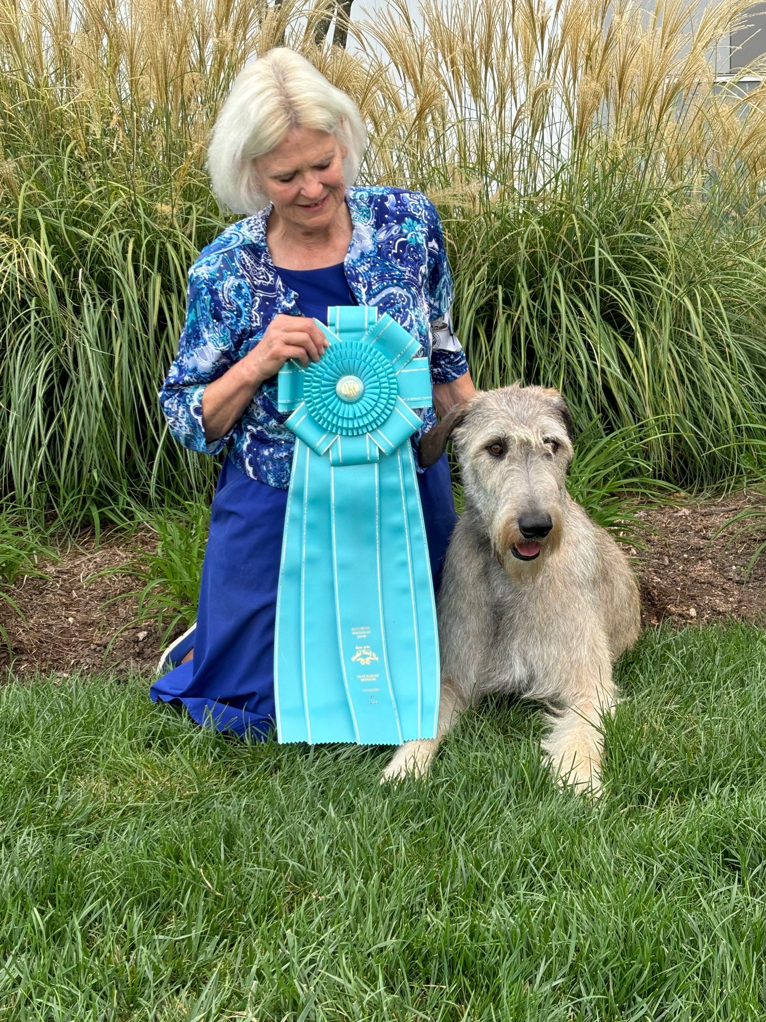 Wildisle Brie Six Shooter Wildisle Brie Six Shooter