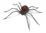 Black-Widow-Spider-Pet Poison Helpline