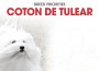 F BP Coton De Tulear