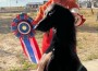 Sunlit's King Of Queens
