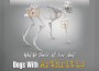 F Dogs with Arthritis