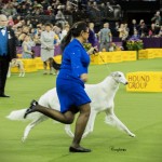 JeffreyPepper3 JeffreyPepper3