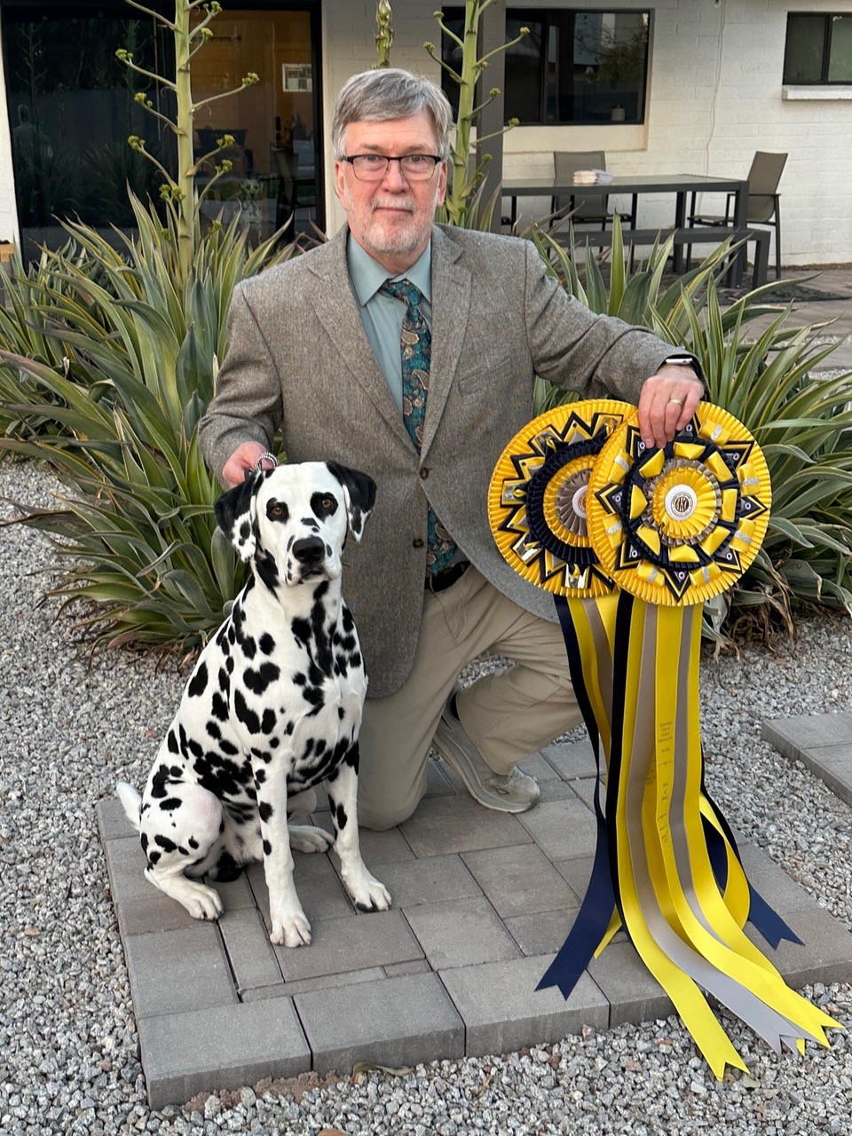 Spotlite’s Dappled Shining Light Spotlite’s Dappled Shining Light