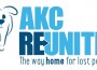 REUNITE_Two-Blue-Color-Logo