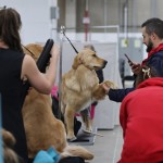 2025_02_15_000062762