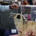 2025_02_15_000062925