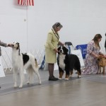 2025_02_15_000063692