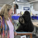 2025_02_16_000064402