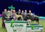 Crufts2025