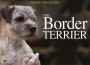 F BP Border Terrier
