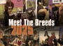 F Meet The Breeds 2025