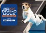 Diving-Dogs-2025-logo-mage