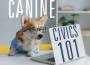 F Canine Civics 101