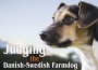 F Judging the Danish Swedish Farmdog