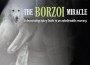F The Borzoi Miracle