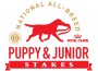 RC_AKC_Puppy-Junior-Stakes
