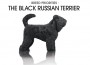 F BP Black Russian Terr