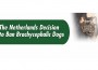 F Netherlands Ban Brachycephalic Dogs