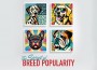 F Secret of Breed Popularity