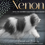 26 Wolfgang Stamp Bruns Paquette_SR042025