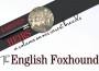 F Rarefied Heirs- The English Foxhound