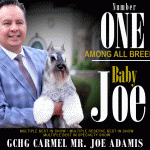 14 Lande+SR_Sept.8_22gif 14 Lande+SR_Sept.8_22gif