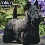 20 Eggert_SR102025_03 20 Eggert_SR102025_03