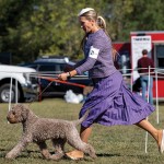 LagottoNationalBOB1Oct25-106