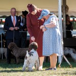 LagottoNationalBOB1Oct25-53