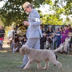 LagottoNationalBOB1Oct25-58