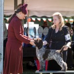 LagottoNationalClasses1Oct25-20