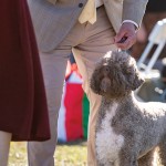 LagottoNationalSpecialAwards1Oct25-38