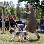 LagottoNationalSweeps1Oct25-195