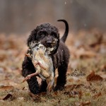 OscarBabyFFF OscarBabyFFF