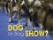 F-Dog-Show-300x200-1