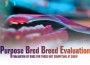 F Purpose Bred Breed Evolution
