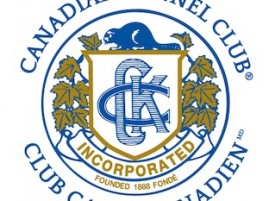 CKC Logo
