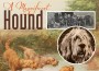 F A Magnificent Hound