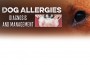 F Dog Allergies