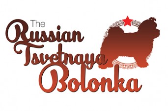F Russian Tsvetnaya Bolonka