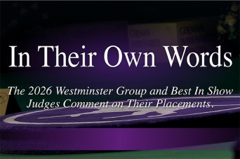 F In Their Own Words