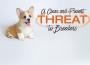 F Clear and Present Threat