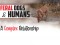 F Feral Dogs & Humans