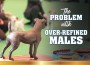 F The Problem With Males